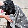 Towels & Blankets